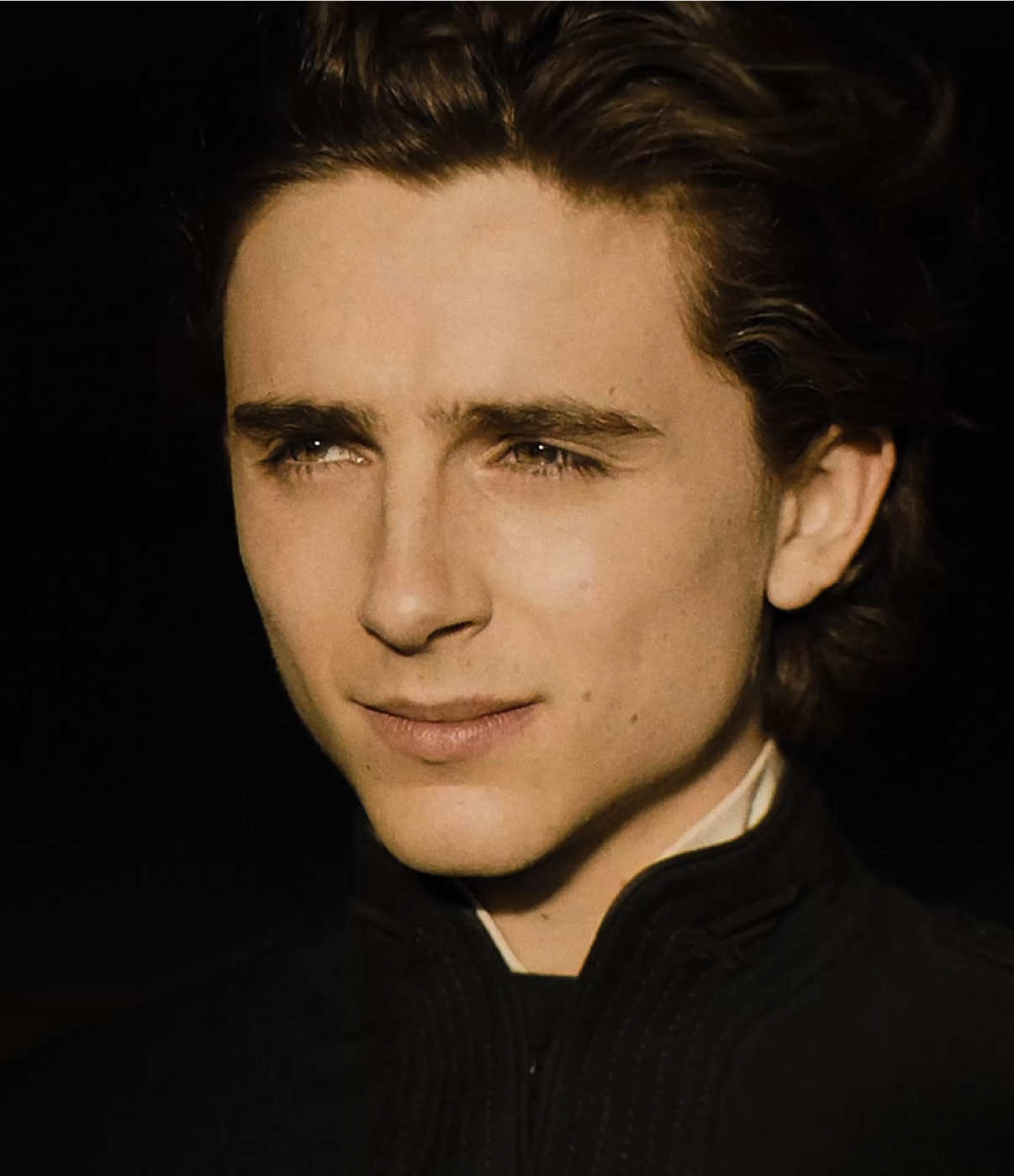 Trapped between destiny and destruction. #dune #dunemovie #filmtok #timotheechalamet #edits 