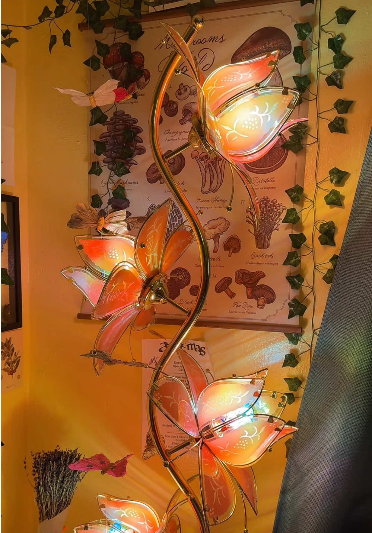 my prized possessions 🫶🏼 i love my lamps #lotuslamp #oilrainlamp #rainlamp #vintage #lamp 