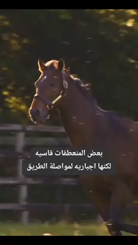 #عالم_منتهى_الصلاحيه 