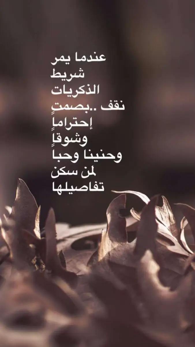 وكأن للذكريات قلباً لا ينبض إلا ليلا ً