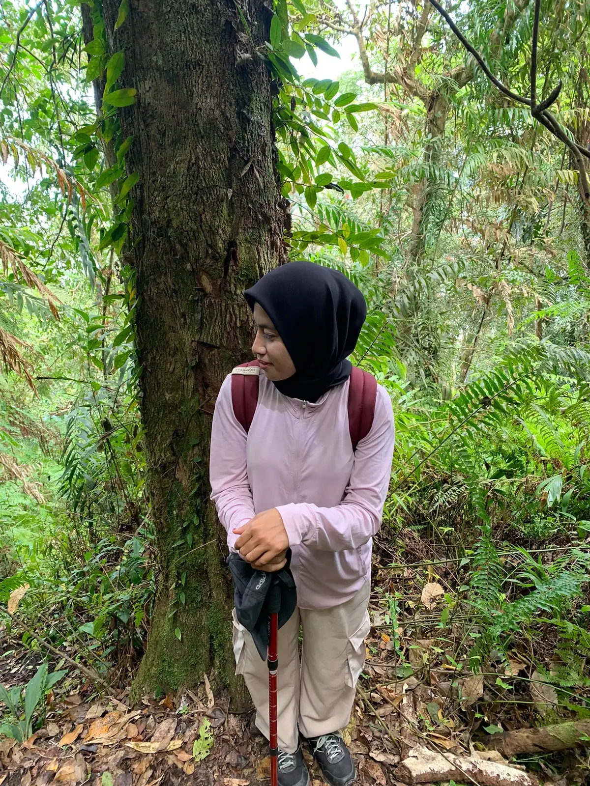 Puncak Uyelewun 1.523 (MDPL)  17 agustus 2025