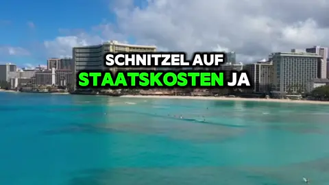 #freiheitmittrick  #businesshack  #schnitzel  #steuertipps  #bewirtungskosten       