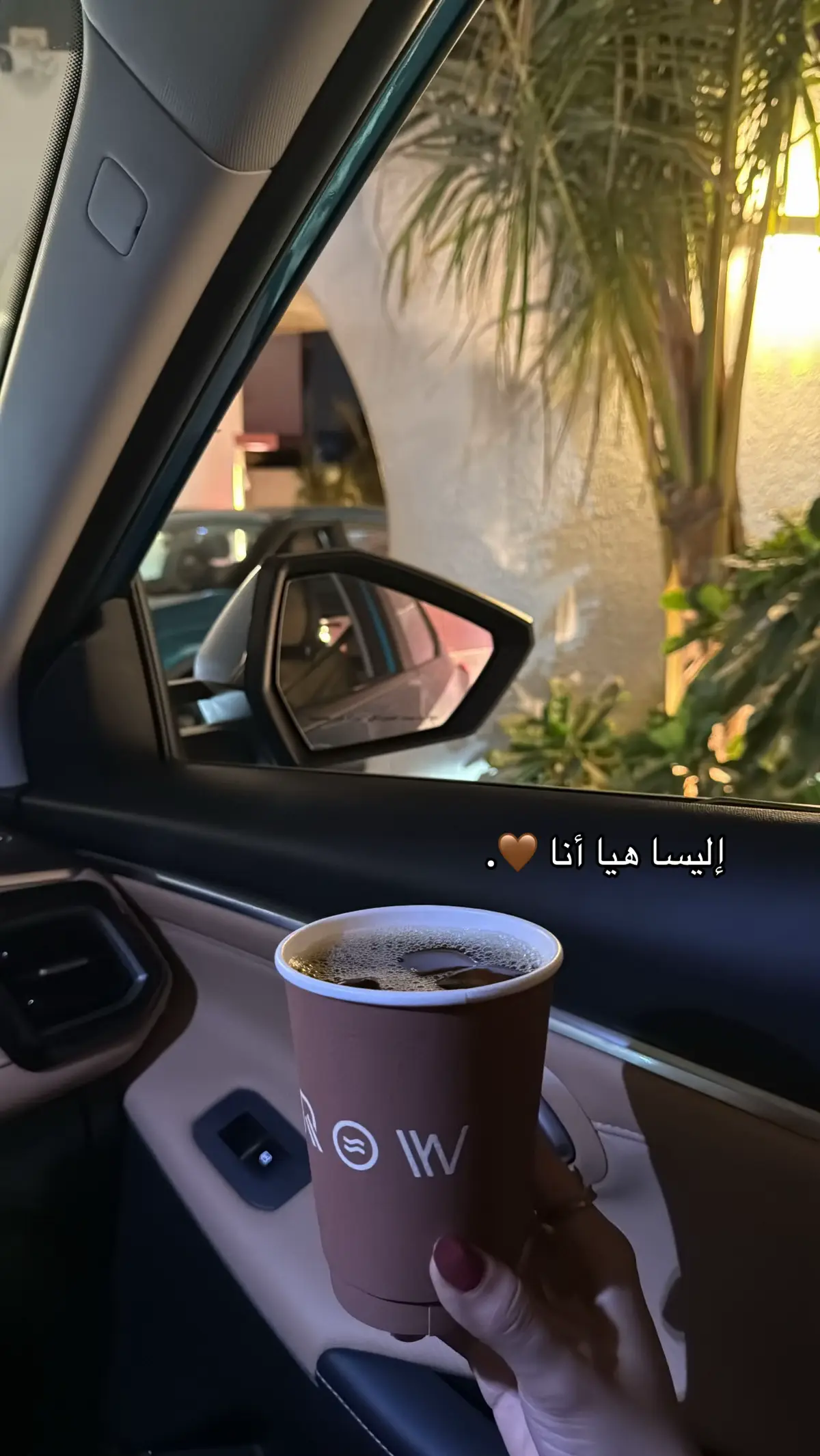 #اليسا #elissa #fyp #explore #cairo 