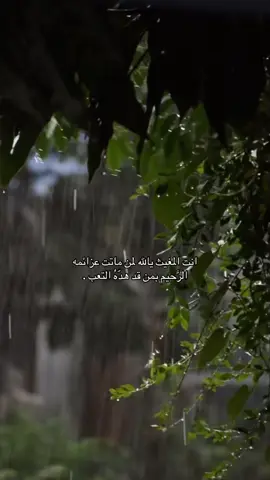 لا إله إلا أنت سبحانك إني كنت من الظالمين. #اكسبلورexplore #fyp #قران 