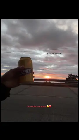 ❤️‍🩹 #suscal_cañar_ecuador🇪🇨 #cañar_ecuador🇪🇨❤️ #losponnysinternacional #losponnys🍻✌👑 #paratii 