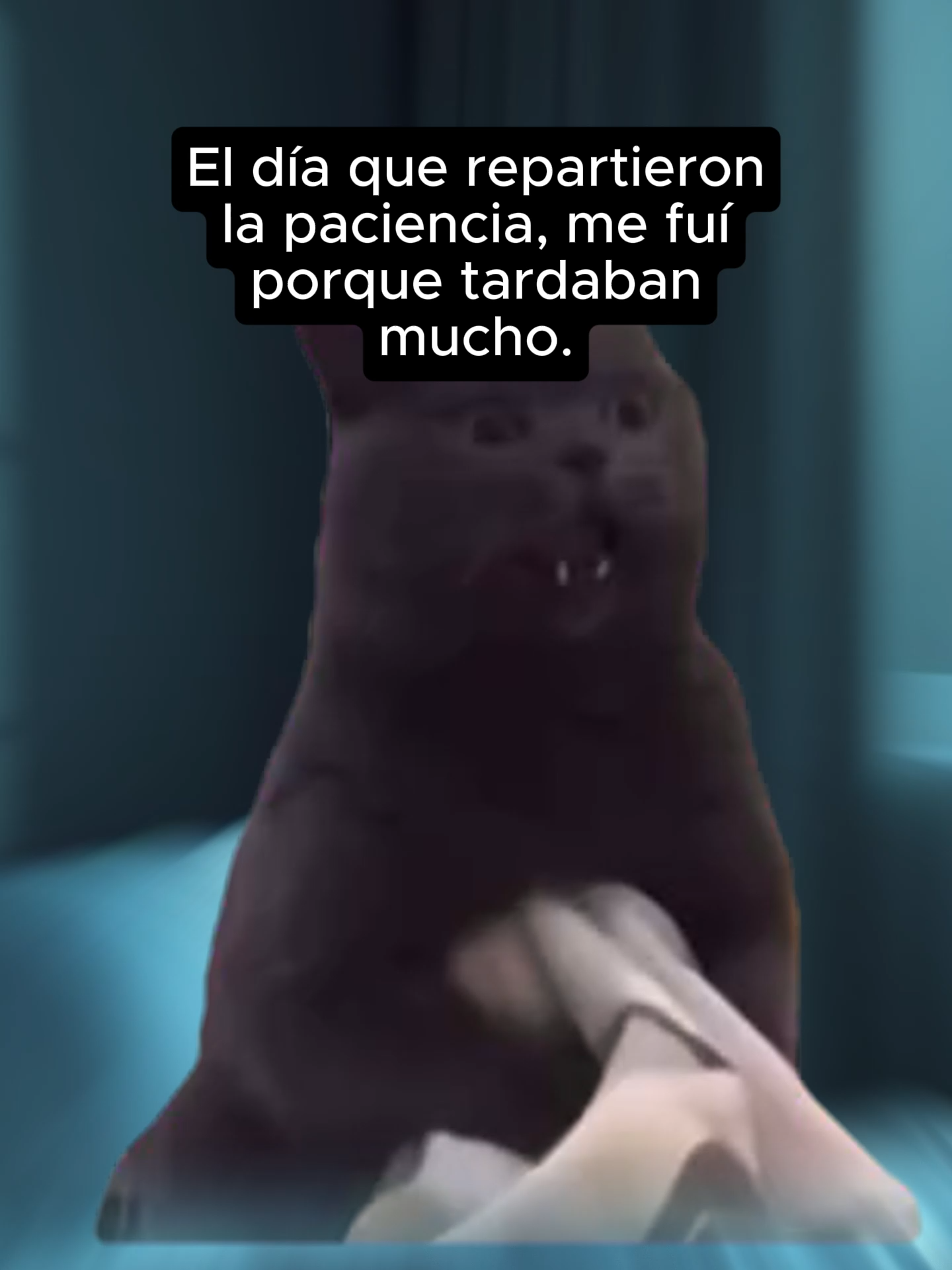 👉 “Y desde ahí ando sobreviviendo con puro coraje y sarcasmo 😅✌️” 🔥 #HumorReal #PacienciaAgotada #ModoAnsioso