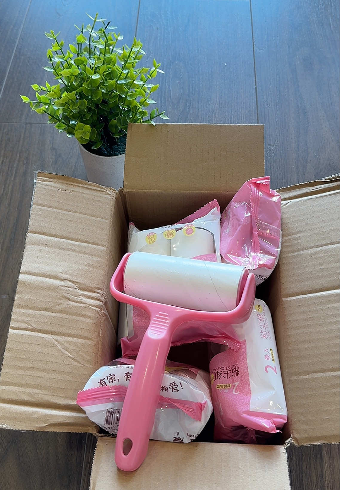 Cây lăn bụi thông minh #caylanbui #caylanbuiquanao #xuhuong 