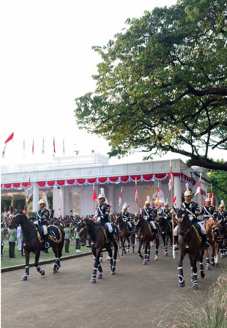 🇮🇩 #paskibra #bendera #istanapresiden #jakarta #upacarabendera #17agustus #istananegara #agustus #80tahunindonesia 