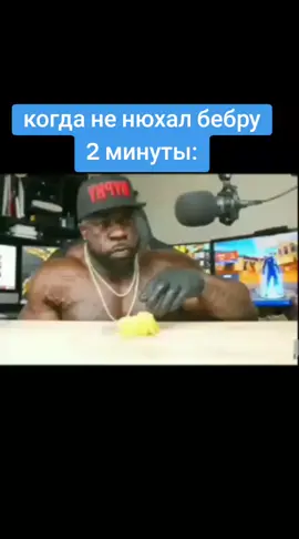 #скала #скаладжонсон #бебра #шлёпа #тульскийпряник 