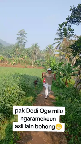 pak Dedi ikut jalan santai #HUT RI KE 80 
