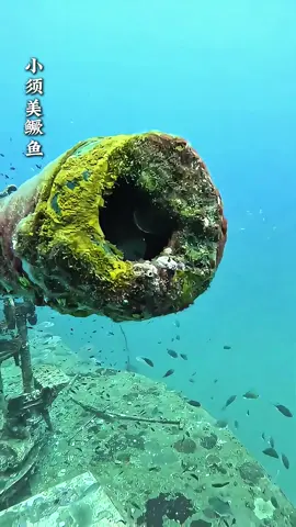 #我是一只鱼 #音乐 #音乐分享 @💞💕᭄: 🥀芯꧔ꦿᩚ💕💞 