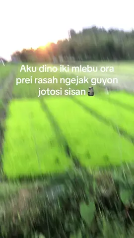 Glk duit. #18agustus2025 #orapreiblas 