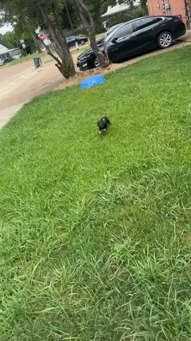 Cause why you trying to buy me in my yard…Noooooo #fy #trending #Repost 