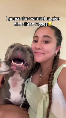 😂😂 #chihuahua #kiss #puppy #dogs #Love 