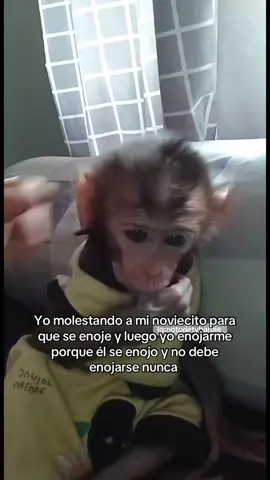 Jajajajaj #hypnose #contenido #monkycumple #monkeybaby #monkeys 