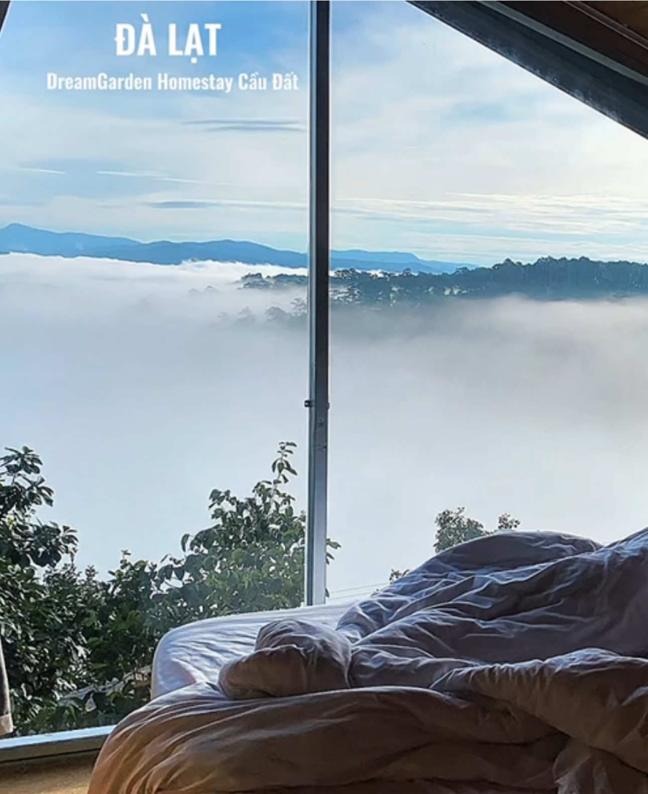 Săn mây tại phòng, Chiếc giường trên mây ở Đà Lạt #homestaychilldalat #homestaydalatviewdep #homestaysanmaydalat #homestaydalat #sanmaydalat 