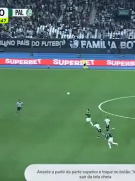Gol da vitória do palmeiras, Felipe Anderson 1x0 contra Botafogo. #brasileirao #futebol #tiktokviral #fyppppppppppppppppppppppp #tiktokesportes 