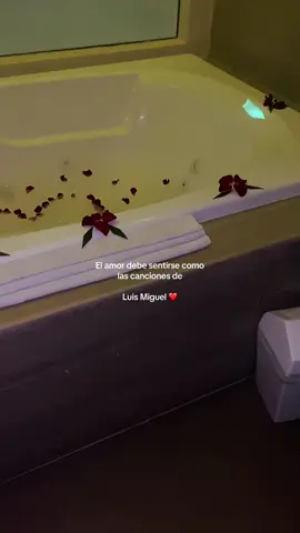 Mi amor bonito ❤️  #luismiguel #recuerdosinolvidables #rivieramaya #paratiiiiiiiiiiiiiiiiiiiiiiiiiiiiiii #