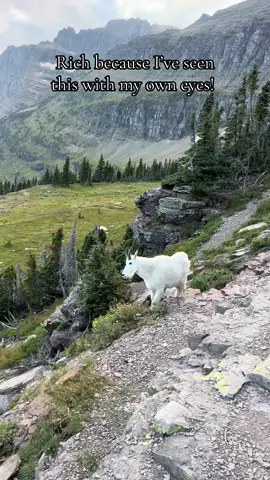 The hikes in Glacier National Park are so worth it! If you’re considering it, DO IT! 🤍 @Chance @Peggycheyann  #GlacierNationalPark #Hiking #Goats #HiddenLakeTrail #MeetMeInMontana 