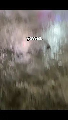 @cantika_nuswantoro16 yowes dek#fyppppppppppppppppppppppp #cantikanuswantoro #yowes 