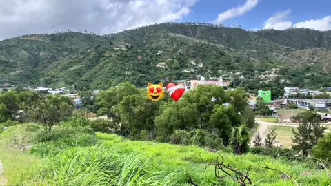 😻😻💖#😻😻😻 