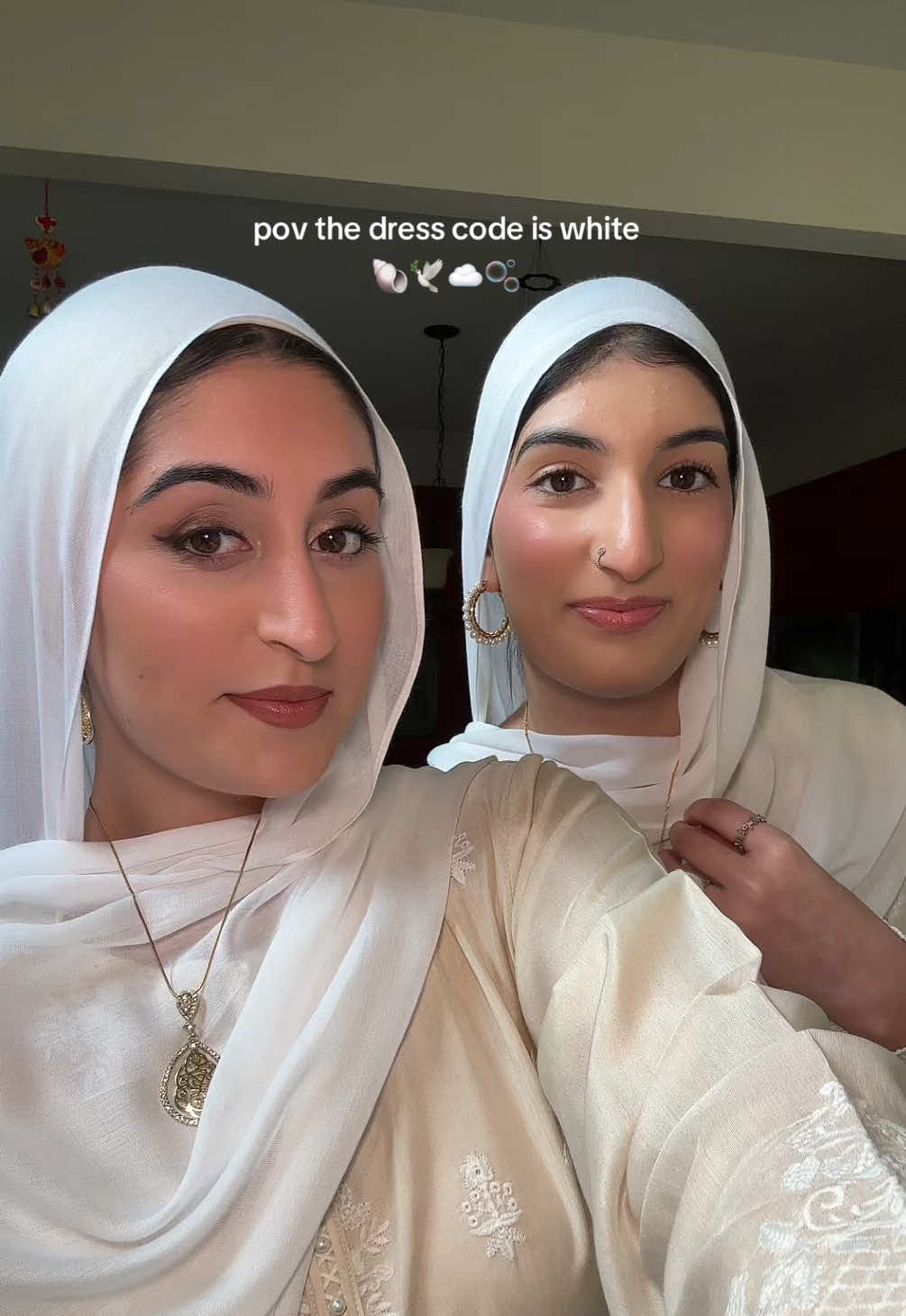 Twinnem 🦢 #sisters #hijabi #desi #fitcheck #desifit 