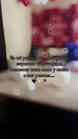 #adiosamiamantee🙋‍♂️💯💯💯🔥🔥💯🔥💯🍺🍺🍺🍺💯 #fypシ゚viral🖤tiktok☆♡🦋myvideo #fypシ゚viral🖤tiktok☆♡🦋myvideo #adiosamiamantee🙋‍♂️💯💯💯🔥🔥💯🔥💯🍺🍺🍺🍺💯 #fypシ゚viral🖤tiktok☆♡🦋myvideo #fypシ゚viral🖤video #fypシ゚viral🖤tiktok☆♡🦋myvideo #CapCut #fypシ゚viral🖤tiktok☆♡🦋myvideo 