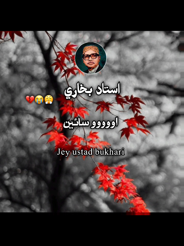 Ooo sain asan ji #ustadbukhari #unfrezzmyaccount #foryoupage #foryou #fory #foryoupag #foryoupage #foryou #fory #foryoupag #😢😢😢 #😢😢😢 