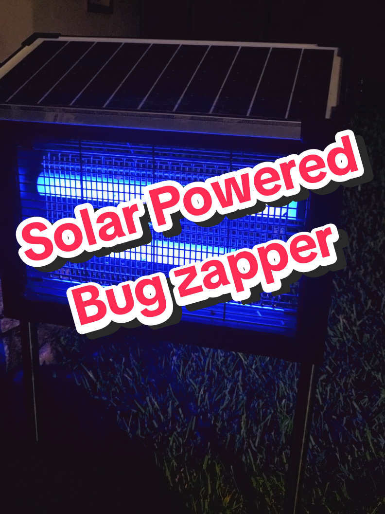Solar powered bug zapper!! Now I've seen it all! #solarpower #bugzapper #solarbugzapper #tiktokshop #tiktokshopreview 