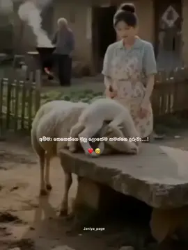 #foryoupage  #අම්මා❤️🌎👑  #trending_vral_video_❤️ 