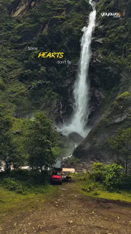 Some hearts don’t fly….. . . 📍 Chetchet Waterfall, Dolakha . . #yayawarnepal #nepal #firantey #nepal8thwonder #ghumante #forcegurkha #yayawar #camping #campinginnepal #chetchet #waterfall #fyp #viral #rainyseason #monsooninnepal #solocamping 