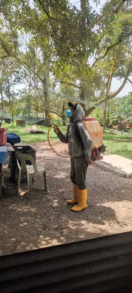 #mule ye nh meton nten t jari kanak sengsare knk ndk arak 🥹🥹💪