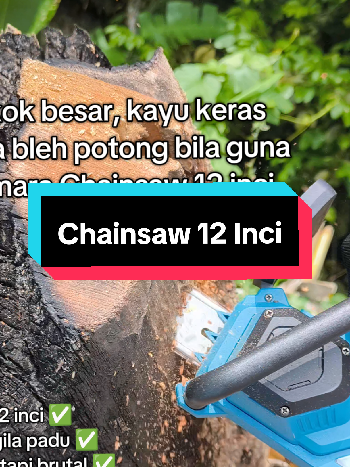 Poko besar macam ni pun senang² je chainsaw ni potong #DagmaraTools #Chainsaw12Inci #PokokPunRebah #PowerToolsMalaysia