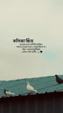 #fyp #viral #foryou 