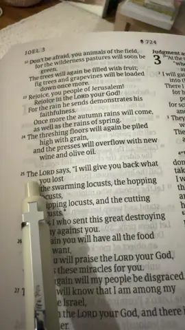 Joel 2:25. He restores. His plans are always bigger than ours. #christiantiktok #bibleversedaily #dailybibleverse #bibleverse #bibleverseoftheday 