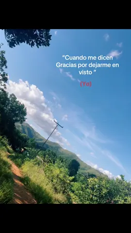 De nada 👋🏻#denada #fotoanimada #campo #moana #gracias 
