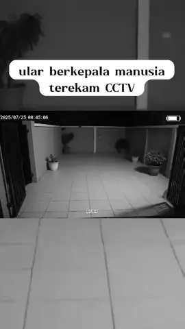 ular berkepala manusia terekam CCTV #seram #horor #ularberkepalamanusia #rekamancctv #viral 