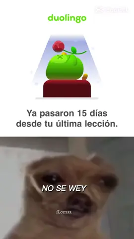 #duolingo#noseweytranquilo#memes 