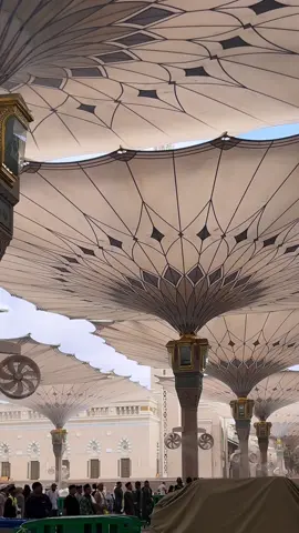 #المسجد_النبوي #المدينة 