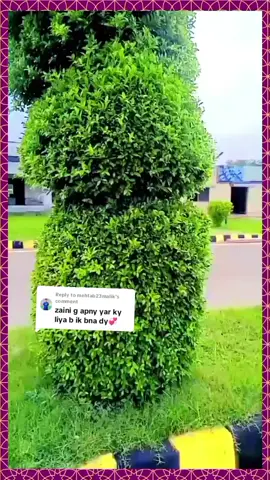 Replying to @mehtab23malik #foryou #needyoursupport #zainulhassanzaini55 #شاعری_سٹیٹس🥀 #fypシ 