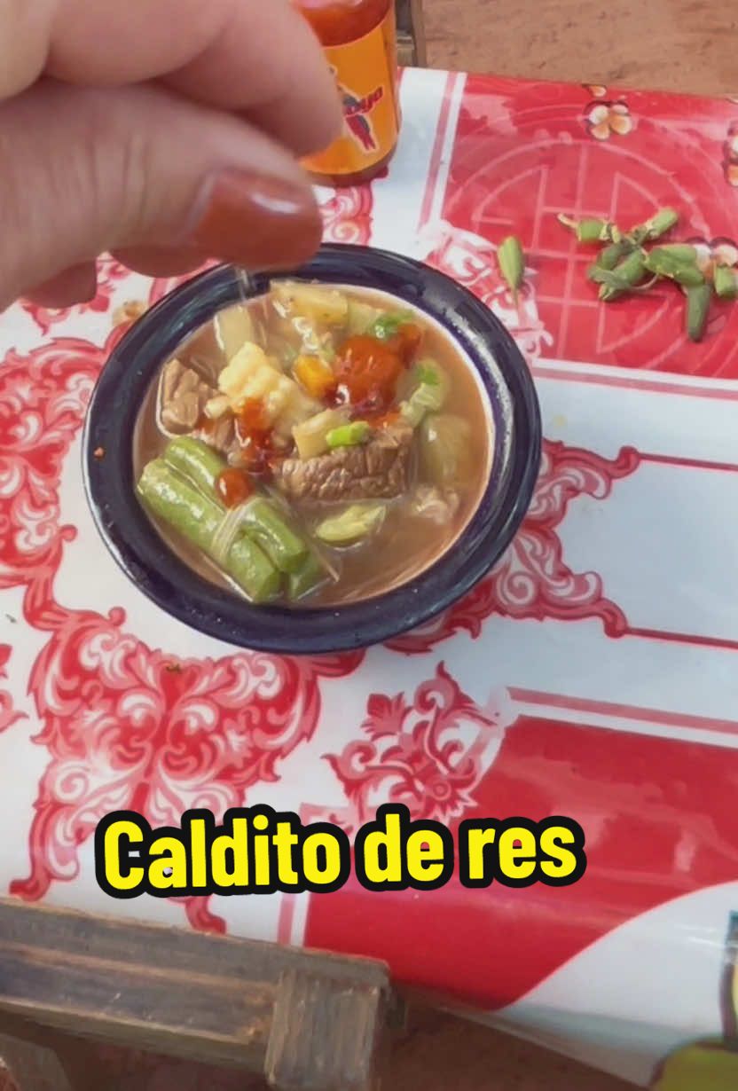 Replying to @Sandra Rojas #miniature cooking . Cocinando mini ,. Caldito de res .mini cocinita 
