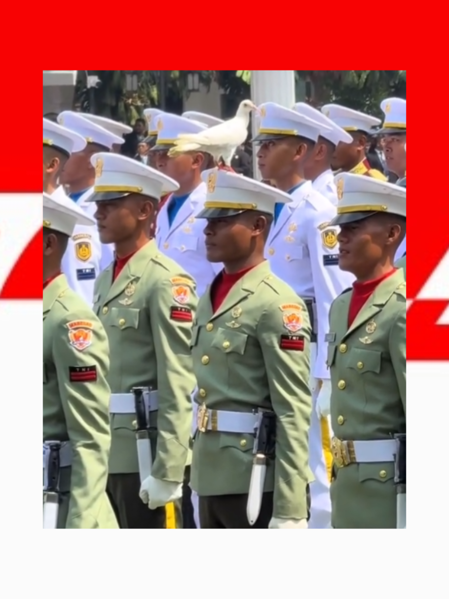 🕊️ Makna Simbolik Merpati Putih 1. Simbol Perdamaian & Kemurnian. Merpati putih secara universal dikenal sebagai simbol damai, kebersihan hati, dan ketulusan. Ketika ia datang di tengah prosesi kenegaraan, hal itu bisa ditafsirkan sebagai doa alam untuk terciptanya kedamaian di negeri ini. 2. Pertanda Restu & Keberkahan Dalam budaya Nusantara, burung yang mendekat atau hinggap saat prosesi upacara dianggap sebagai “tandha restu” – artinya ada energi positif, restu dari alam, bahkan bisa dimaknai sebagai keberkahan yang sedang menyertai acara tersebut. 🪖 Konteks Prajurit & Upacara Kenegaraan. Elemen	Makna : Prajurit	Wujud kesiapsiagaan, keberanian & pengorbanan Topi (penutup kepala)	Simbol kehormatan dan tanggung jawab Merpati hinggap di topi	Seolah-olah membawa pesan damai kepada para penjaga bangsa 👉🏻 Ini seakan menggambarkan bahwa kekuatan militer Indonesia berjalan berdampingan dengan semangat damai. 🌿 Dari Sisi Psikologis & Spiritual Spontan & alami 👉🏻 menciptakan suasana emosional yang hangat, membuat upacara terasa lebih “hidup”. Munculnya hewan jinak di tengah keramaian 👉🏻 menunjukkan vibrasi positif yang cukup kuat di lokasi tersebut (karena jika suasana tegang/mengandung energi negatif, hewan biasanya menjauh). Secara spiritual 👉🏻 merpati sering dianggap sebagai “pembawa pesan” bahwa situasi sedang dalam lindungan Tuhan. #indonesia  #tniindonesia🇮🇩  #merpatiputih 