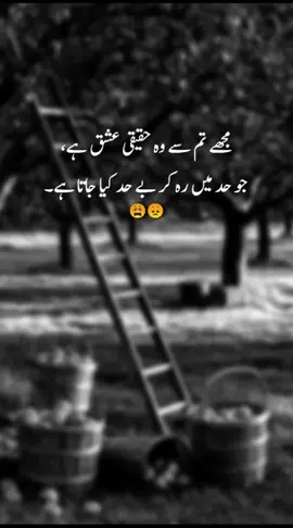 muja tum sa wo ishaq ha #ishaqzada #viralonforyoupage #100persenuntukindonesia #1MAuditionPK