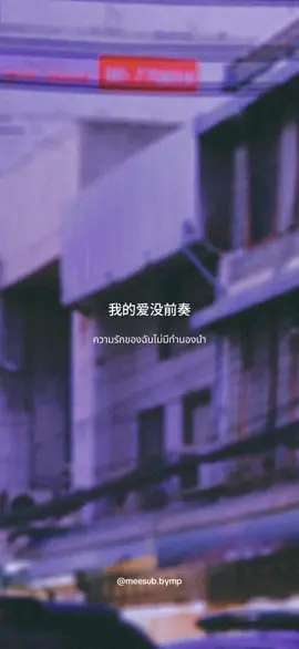 《我的爱没前奏》#เพลงจีนแปลไทย #แปลเพลง 