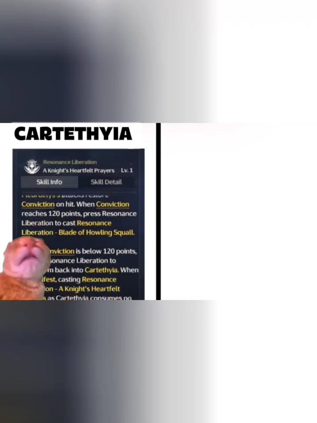 Rover 🗿 #wuwa #wutheringwaves #foryoupage #fyp #cartethyia 