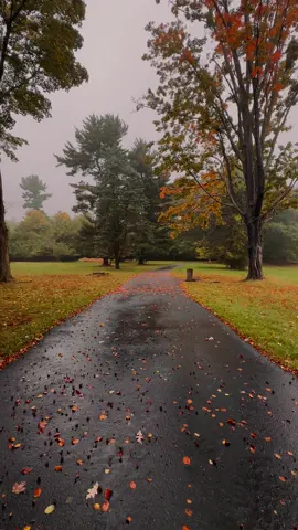 The best place to be 🍂 #autumn #autumnaesthetic #fypシ #fall #fyp 