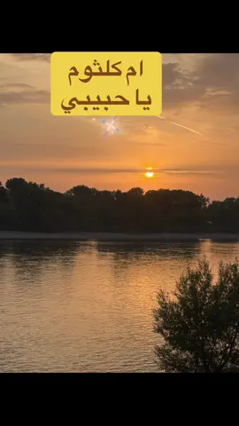 #EraFlowers  #اناقه #لايك__explore___ #لايك__explore___ #لقطة_فائقة_الثبات🔥🔥  
