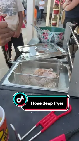 Commercial grade deep fryer 