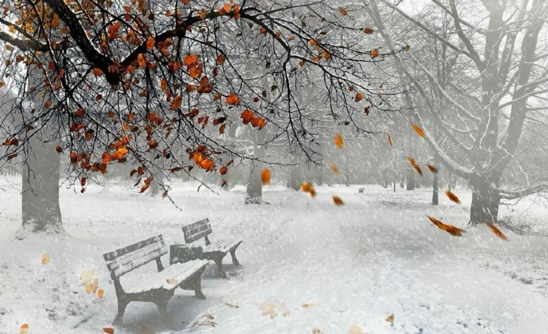 Trong cuộc đời, không phải lúc nào ta cũng có một bờ vai để tựa, một vòng tay để ôm, hay một lời an ủi kịp thời để làm dịu những vết thương. Có những đêm dài, chẳng ai hiểu nỗi cô đơn mình đang chịu. Có những ngày, tất cả niềm tin vỡ nát chỉ còn lại chính ta với trái tim rỉ máu. Lúc ấy, đừng vội tìm kiếm sự cứu rỗi từ bên ngoài. Hãy trở về, và học cách sưởi ấm cho chính mình trước tiên. Tự sưởi ấm cho mình là biết lắng nghe tiếng thở dài của trái tim, biết xoa dịu những mảnh vỡ trong tâm hồn, biết mỉm cười với đôi mắt đang ướt nhòe. Đó là khoảnh khắc ta nhận ra: mình có thể yếu đuối, nhưng mình không bỏ rơi chính mình. Khi ta chọn đứng về phía bản thân, ta đã có một điểm tựa vững chắc để bước tiếp, cho dù cả thế giới quay lưng. Đừng mong chờ ai đó đến cứu lấy mình trong mọi lúc. Người khác có thể đồng hành, có thể an ủi, nhưng không ai sống thay ta, không ai gánh thay nỗi đau trong lòng ta. Chỉ có tình thương ta dành cho chính mình mới đủ sức nuôi dưỡng sự bình an lâu dài. Và khi đã biết cách tự sưởi ấm, bạn sẽ không còn sợ hãi mùa đông của đời mình nữa. Bởi trong sâu thẳm, bạn đã mang trong tim một ngọn lửa — ngọn lửa của lòng tự thương, của sự kiên cường, của niềm tin rằng mình xứng đáng được yêu thương, trước hết là từ chính mình. Trong mọi hoàn cảnh, hãy là người đầu tiên bước đến và ôm lấy mình. Bởi khi bạn biết tự sưởi ấm trái tim mình, bạn đã có ánh sáng để đi qua bất cứ bóng tối nào.