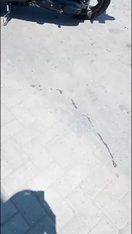 #panturace 